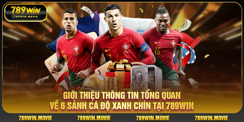 Giới thiệu thông tin tổng quan về 6 sảnh cá độ xanh chín tại 789win Giới thiệu thông tin tổng quan về 6 sảnh cá độ xanh chín tại 789win