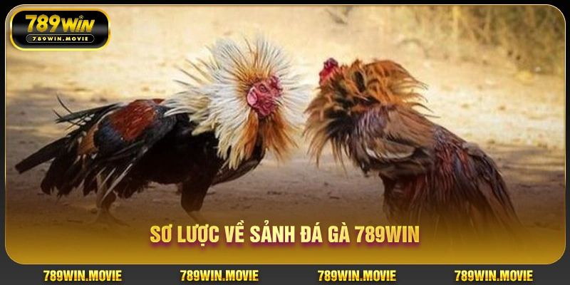 Đá Gà 789WIN | Đấu Trường Gà Chơi Kịch Tính Nhất 2025 1 Sơ lược về sảnh đá gà 789WIN