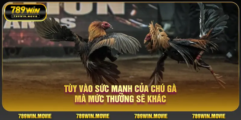 Tùy vào sức mạnh của chú gà mà mức thưởng sẽ khác Tùy vào sức mạnh của chú gà mà mức thưởng sẽ khác