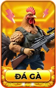 789WIN 15 đá gà 789win